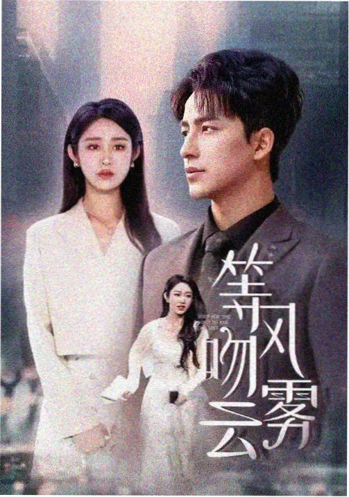 水仙视频年代情感剧南方来信海报
